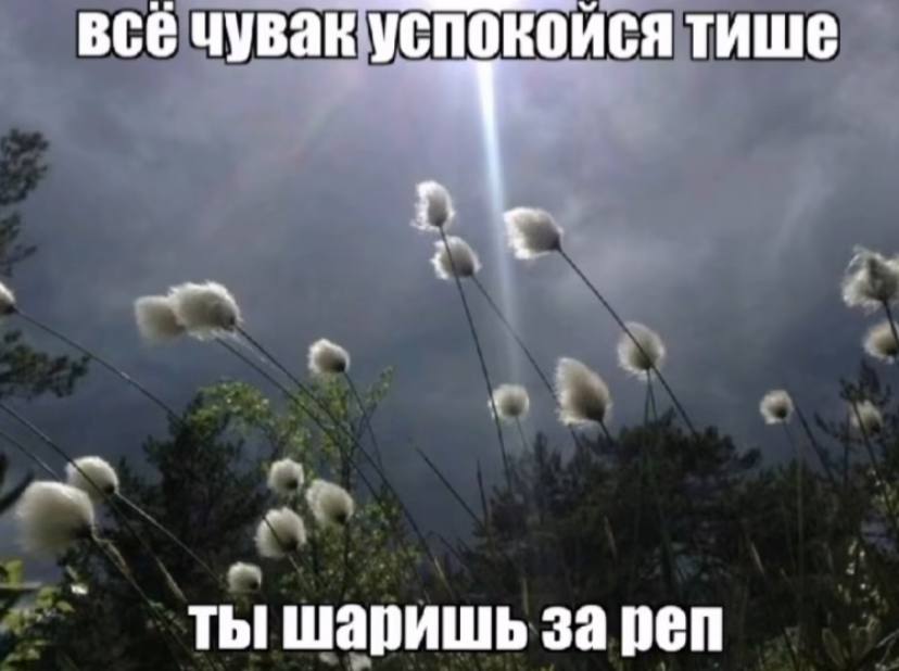 BCE чувак успокойся тише ты шаришь за реп