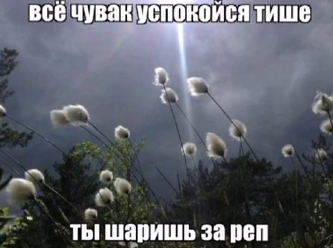 BCE чувак успокойся тише ты шаришь за реп