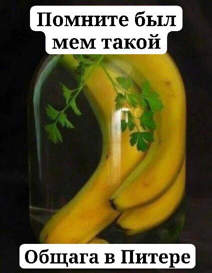 Помните был мем такой Общага в Питере