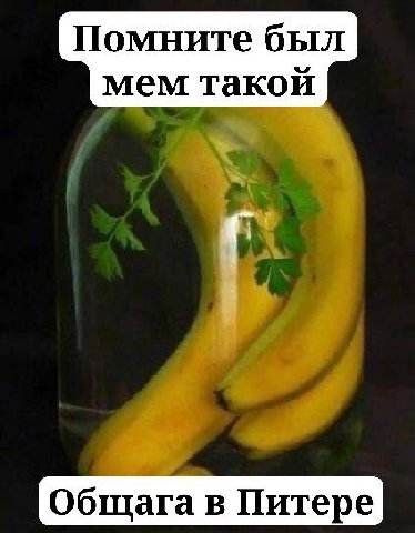 Помните был мем такой Общага в Питере