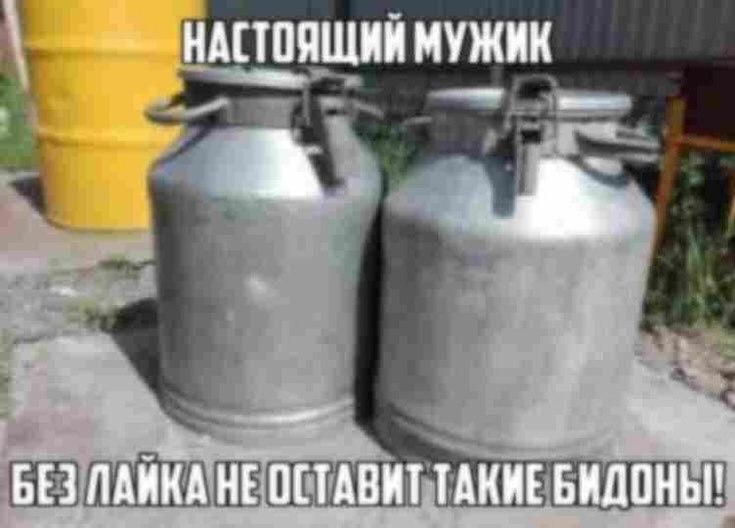 БЕЗ ЛАИКА НЕ ОСТАВИТ ТАКИЕ БИДОНЫ!
