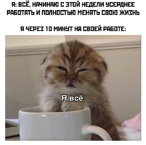 Я: ВСЁ, НАЧИНАЮ С ЭТОЙ НЕДЕЛИ УСЕРДНЕЕ РАБОТАТЬ И ПОЛНОСТЬЮ МЕНЯТЬ СВОЮ ЖИЗНЬ Я ЧЕРЕЗ 10 МИНЧТ НА СВОЕЙ РАБОТЕ: Я все