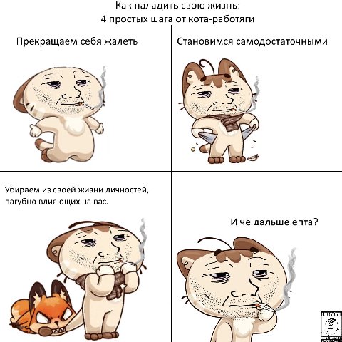 Как наладить свою жизнь: 4 простых шага от кота-работяги Прекращаем себя жалеть Становимся самодостаточными Убираем из своей жизни личностей, пагубно влияющих на вас. И че дальше énta? 4
