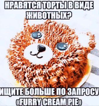 НРАВЯТСЯ ЖИВОТНЫХ? 14 ИЩИТЕБОЛЬШЕ ПО ЗАПРОСУ PIE)