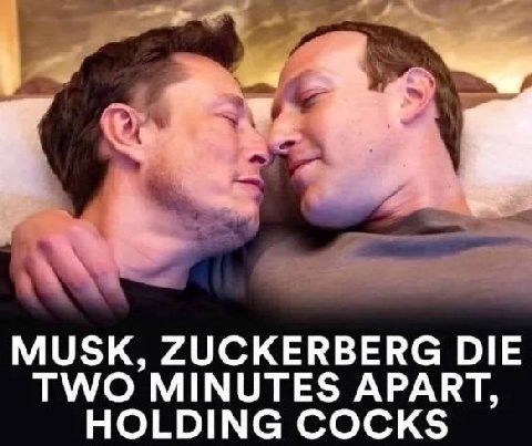 MUSK, ZUCKERBERG DIE TWO MINUTES APART, HOLDING COCKS