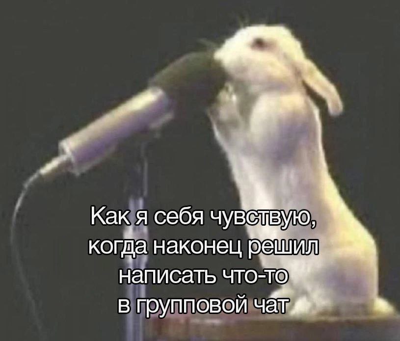 Как я себя BYtO, когда наконец написать что-то в групповой чат