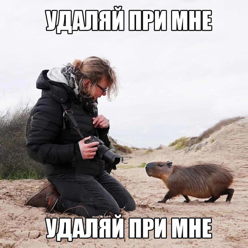 УДАЛЯЙ А я 5 7