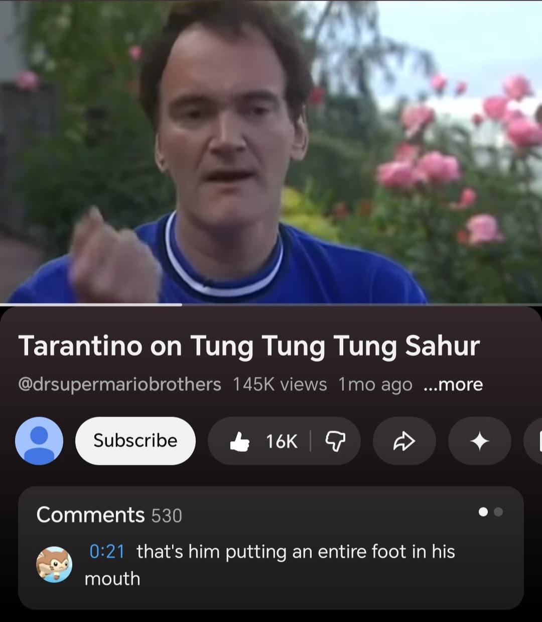 у Tarantino Tung Tung Tung Sahur @drsupermariobrothers views ago ...more Comments 530 0:21 that's him putting an entire foot in his mouth