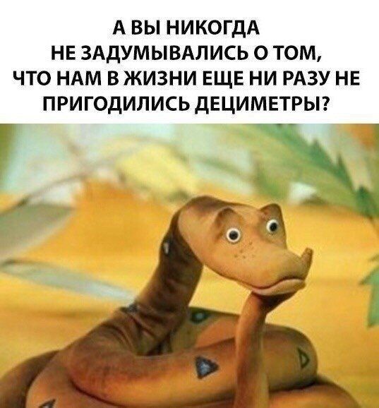 АВЫ НИКОГДА НЕ ЗАДУМЫВАЛИСЬ О ТОМ, ЧТО НАМ В ЖИЗНИ ЕЩЕ НИ РАЗУ НЕ ПРИГОДИЛИСЬ ДЕЦИМЕТРЫ?