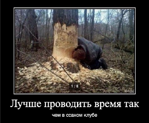 Лучше проводить время так чем в ссаном клубе