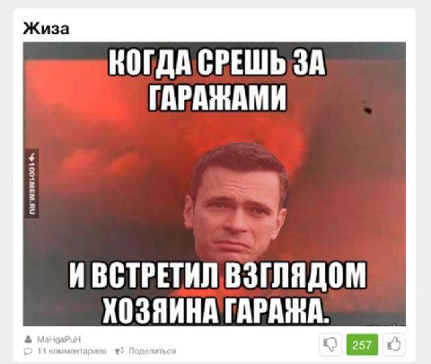 Жиза КОГДА СРЕШЬ ЗА ГАРАЖАМИ ИВСТРЕТИЛ ВЗГЛЯДОМ ХОЗЯИНА ГАРАЖА.