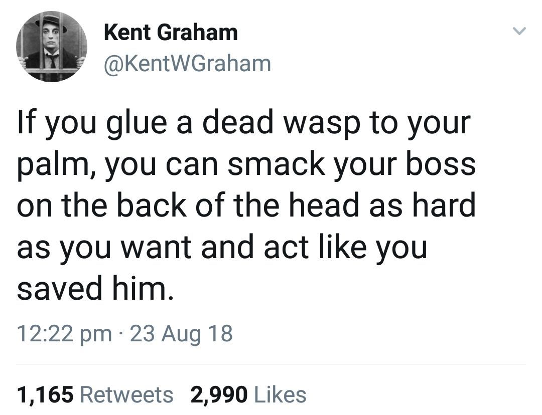 Kent Graham в @KentWGraham you glue a dead wasp to your palm, you can smack your boss on the back of the head as hard as you want and act like you saved him. 12:22 23 Aug 18 1,165 Retweets 2,990 Likes