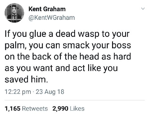 Kent Graham в @KentWGraham you glue a dead wasp to your palm, you can smack your boss on the back of the head as hard as you want and act like you saved him. 12:22 23 Aug 18 1,165 Retweets 2,990 Likes
