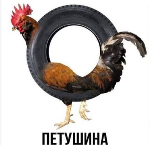 ПЕТУШИНА