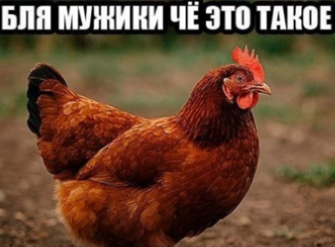 БЛЯ МУЖИКИ ЧЕ ЭТО ТАКОЕ