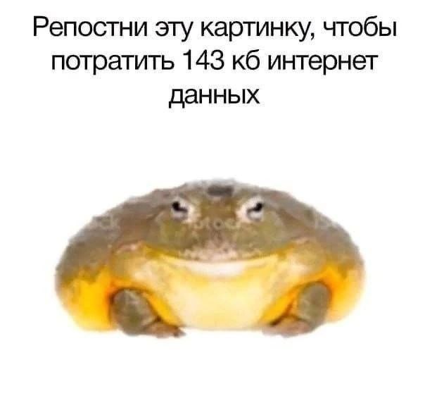Репостни эту картинку, чтобы потратить 143 интернет данных