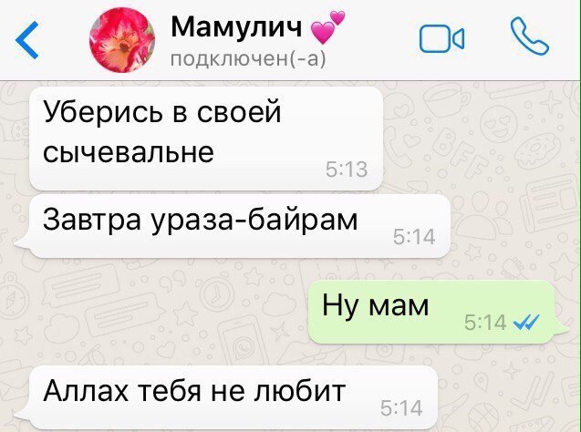 Мамулич (9 подключен(-а) Уберись в своей сычевальне Завтра ураза-байрам Ну мам Аллах тебя не любит