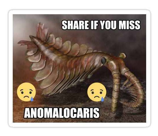 SHARE IF YOU MISS ANOMALOCARIS
