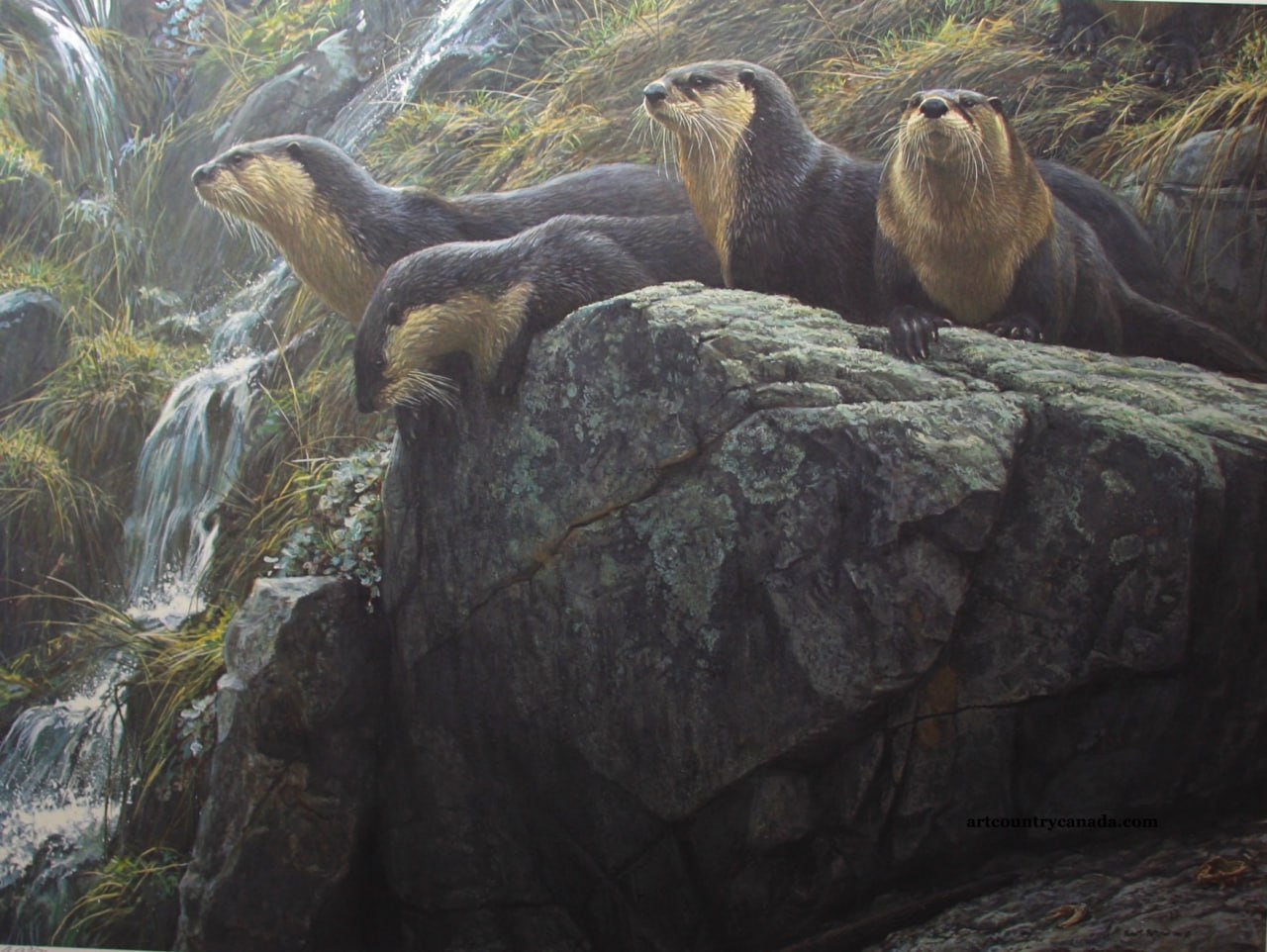 On The Bring 
by Robert Bateman