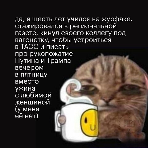 да, я шесть лет учился на журфаке, стажировался в региональной газете, кинул своего коллегу под вагонетку, чтобы устроиться в ТАСС и писать про рукопожатие Путина и Трампа вечером в пятницу вместо ужи