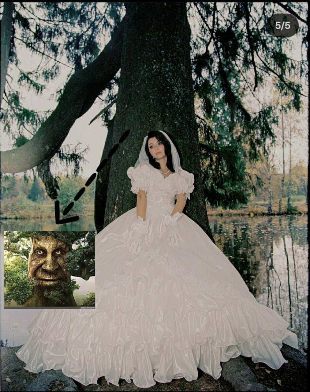 5/5