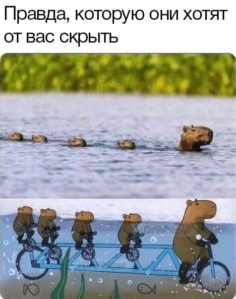 Правда, которую они хотят отвас скрыть