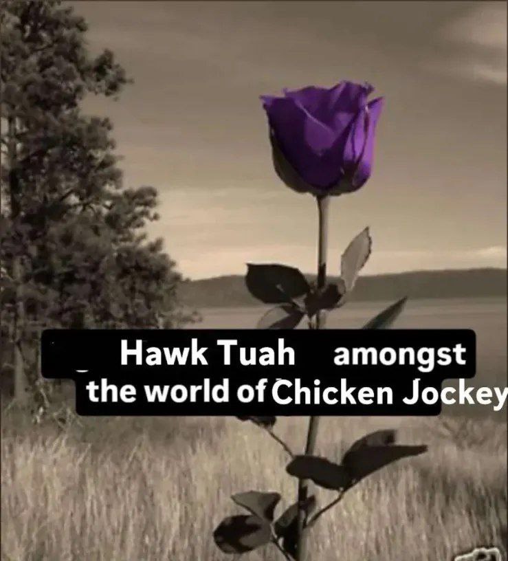 НамК amongst the world of Chicken Jockey