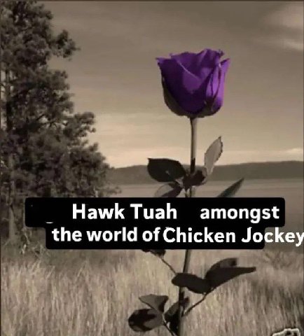 НамК amongst the world of Chicken Jockey