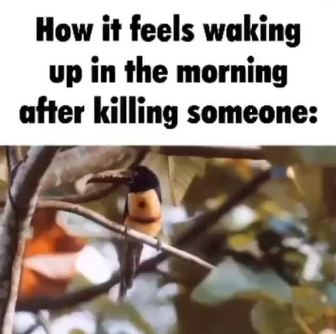 How it feels waking after killing someone: