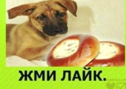 aS ЖМИ ЛАИК.