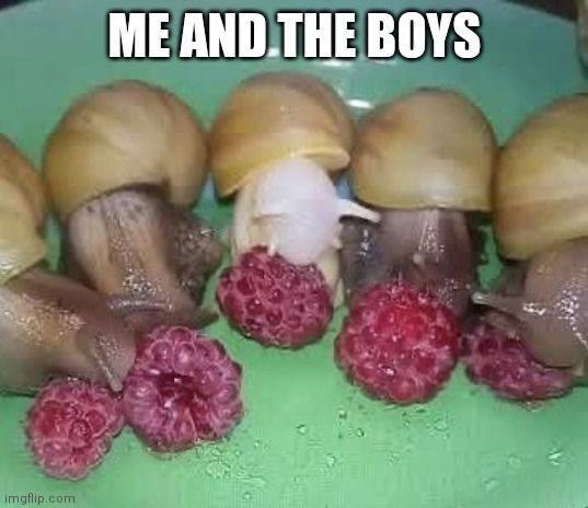 BOYS