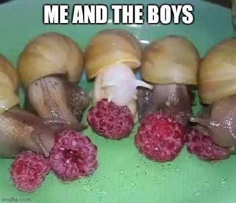 BOYS