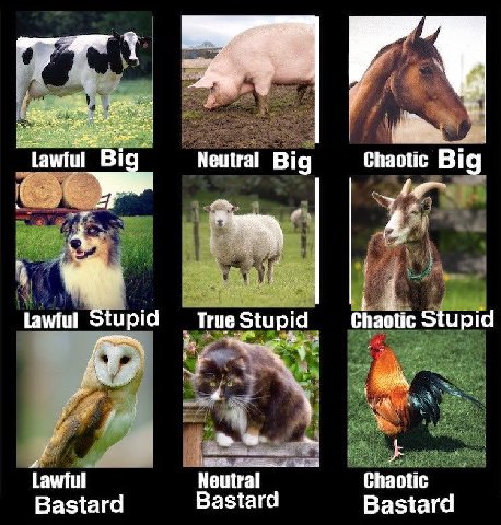 discuss