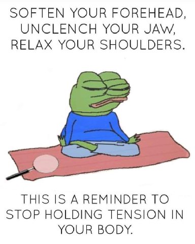 SOFTEN YOUR FOREHEAD, UNCLENCH YOUR JAW, RELAX YOUR SHOULDERS. THIS IS A REMINDER TO STOP HOLDING TENSION IN YOUR BODY.