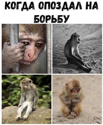 КОГДА ОПОЗДАЛ НА БОРЬБУ