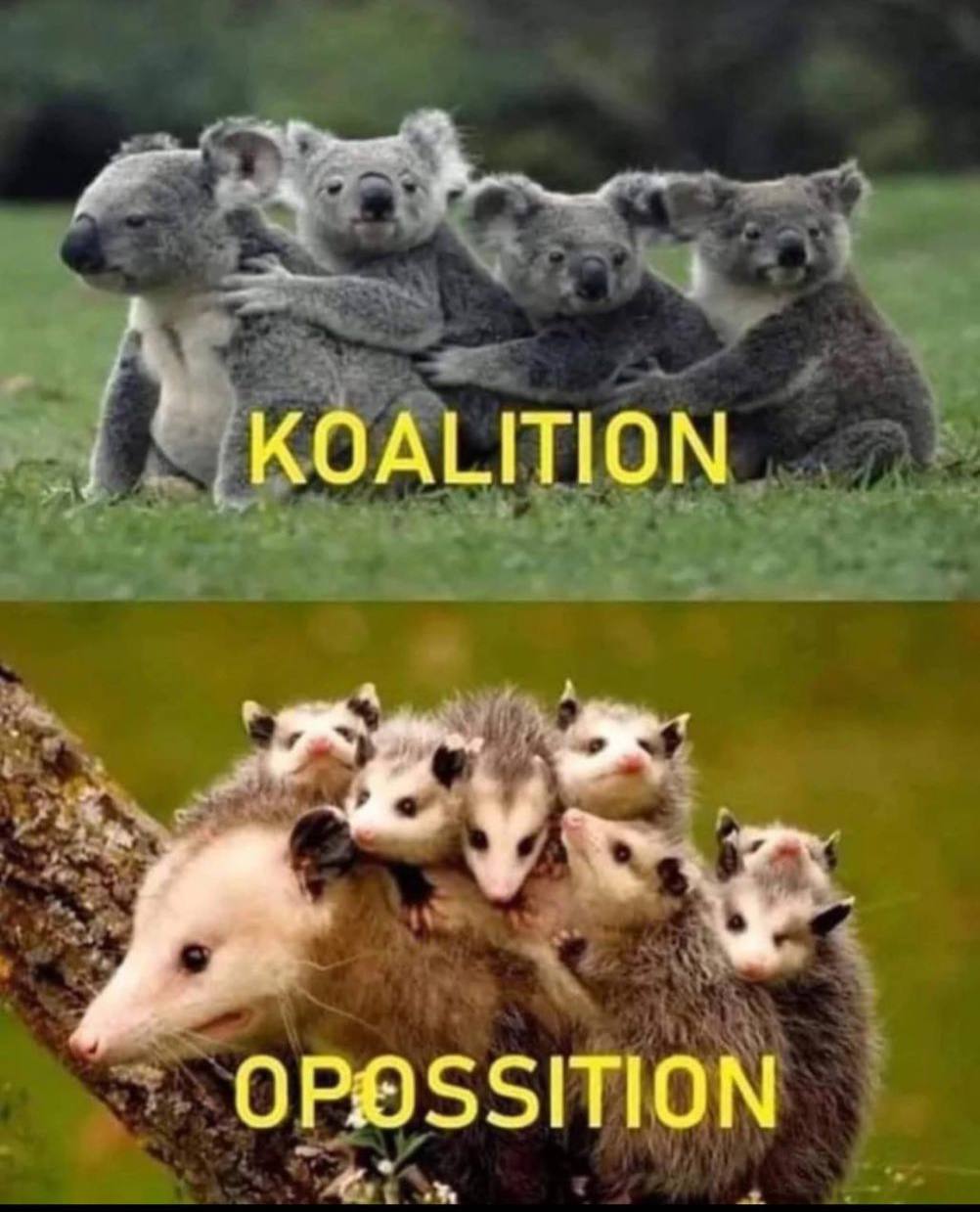 KOALITION OPOSSITION