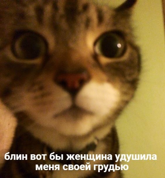 блин вот бы женщина удушила меня своей грудью