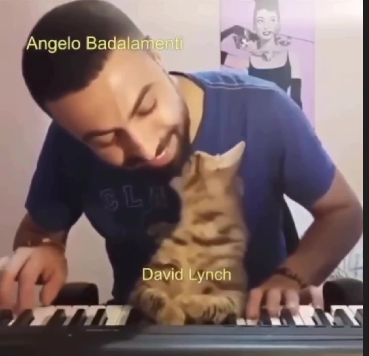 Angelo Вадаам ‹ - David bynch™ a