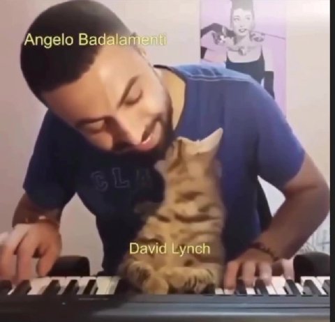 Angelo Вадаам ‹ - David bynch™ a