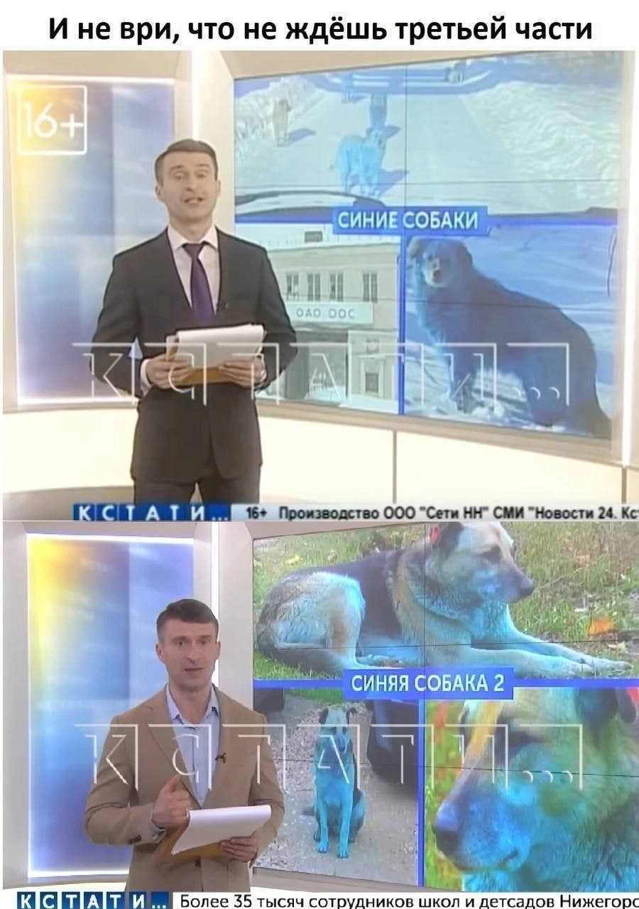 И не ври, что не ждёшь третьей части СИНИЕСОБАКИ i/ 1% 16+ Производство 000 "Новости 24. СИНЯЯ СОБАКА 2 on IKICITIAIT И Более 35 тысяч иков школ и детсадов Нижегорс
