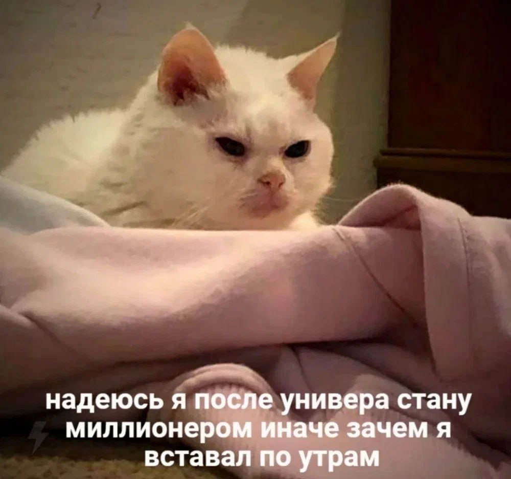 надеюсь я после универа стану миллионером иначе зачем я вставал по утрам