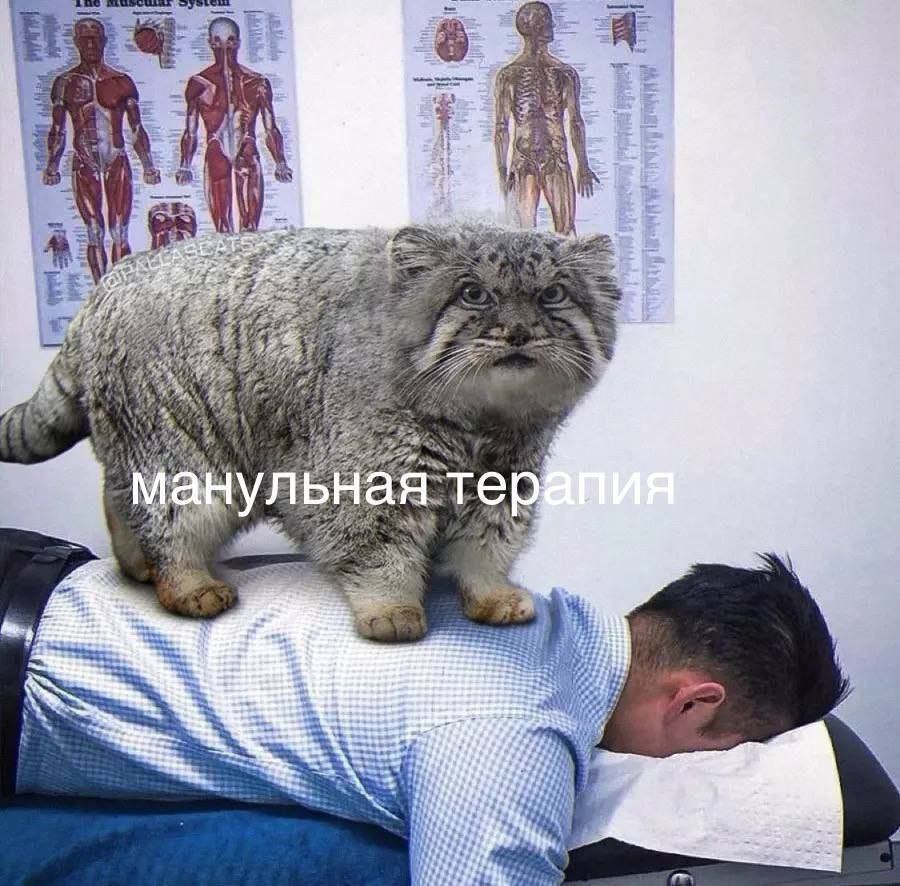 a 5 4 А 3 2 1 7 1. Ж: A 4 у #7 у