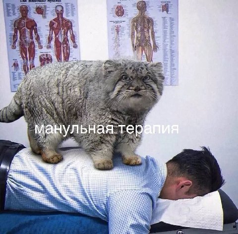 a 5 4 А 3 2 1 7 1. Ж: A 4 у #7 у