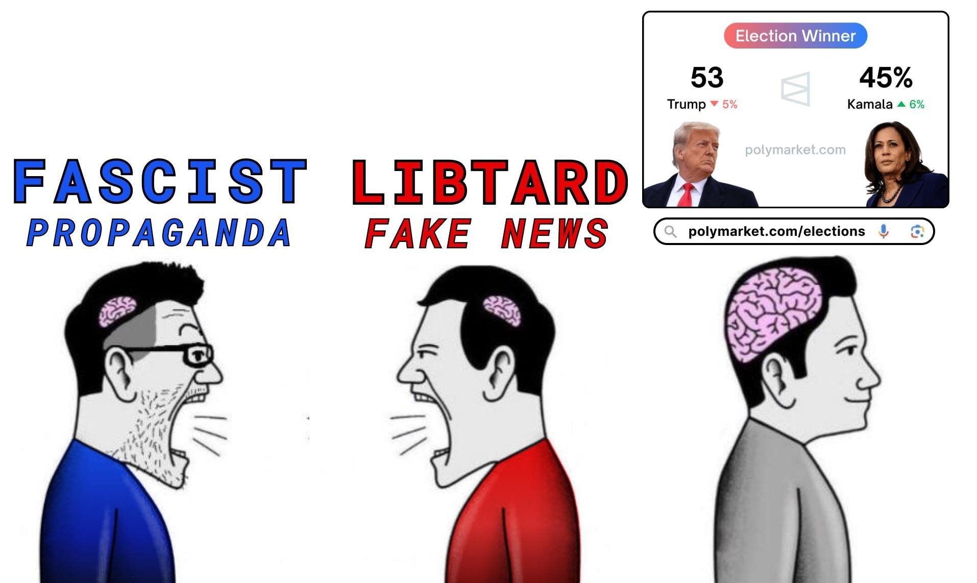 Election Winner Trump 5% 53 FASCIST LIBTARD PROPAGANDA FAKE NEWS polymarket.com/election: