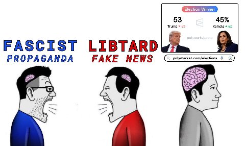 Election Winner Trump 5% 53 FASCIST LIBTARD PROPAGANDA FAKE NEWS polymarket.com/election: