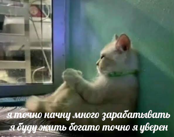 яточно начну много зарабатывать я жить догато точно я уверен