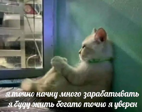 яточно начну много зарабатывать я жить догато точно я уверен