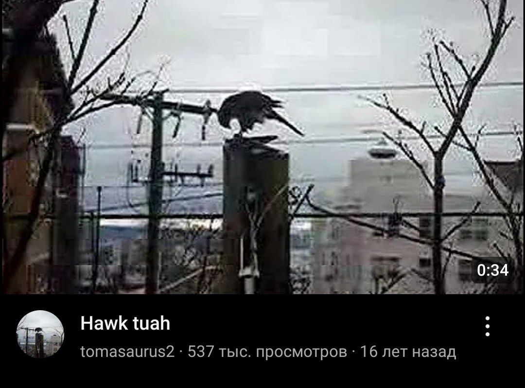 я 0:34 i Hawk tuah 537 тыс. просмотров 16 лет назад