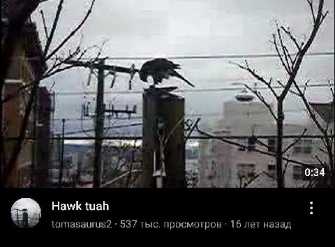 я 0:34 i Hawk tuah 537 тыс. просмотров 16 лет назад