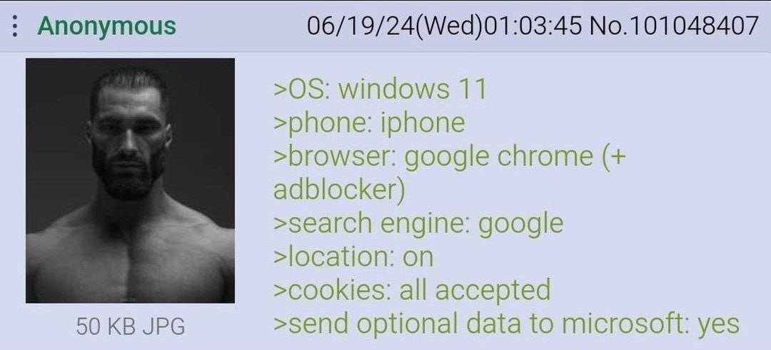 Anonymous 06/19/24(Wed)01:03:45 No.101048407 windows 11 >phone: рпопе >browser: google chrome adblocker) >search engine: google >location: on >cookies: all accepted 50 JPG >send optional data to micro